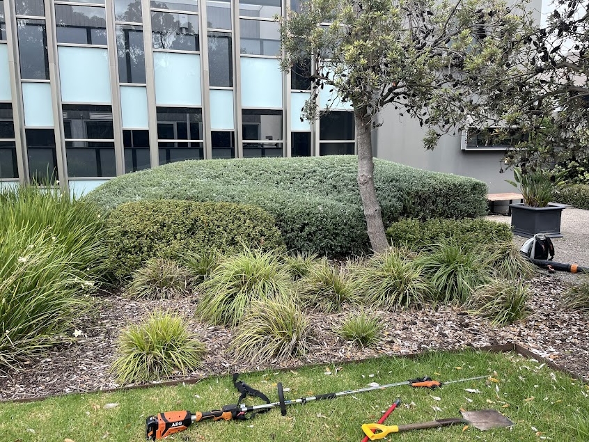 Screenshot_12-4-2026_175145_photos.google.com