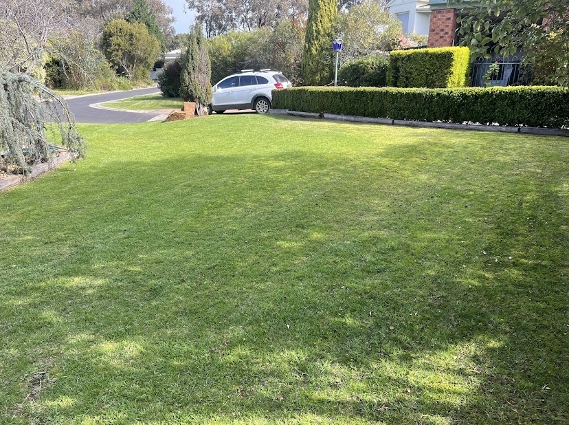 Screenshot_20-8-2025_104738_photos.google.com