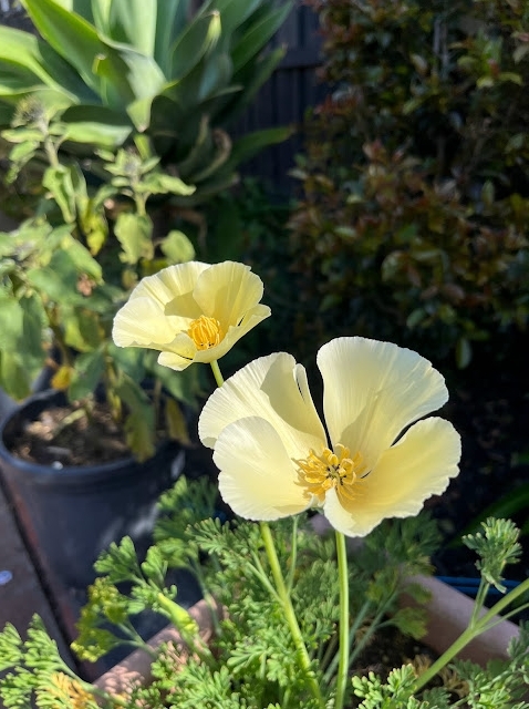 Screenshot_21-5-2025_105828_photos.google.com