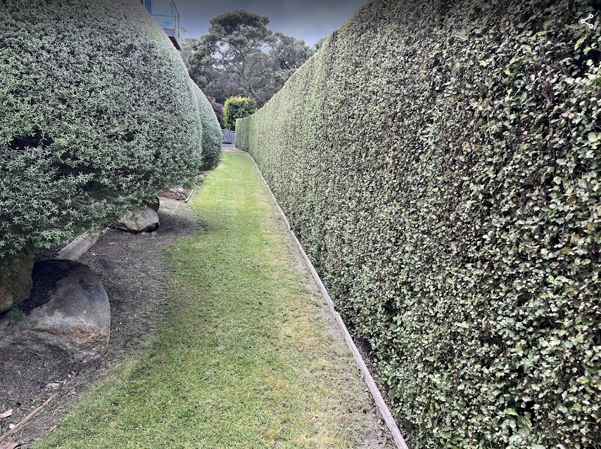 Screenshot_21-5-2025_1101_photos.google.com