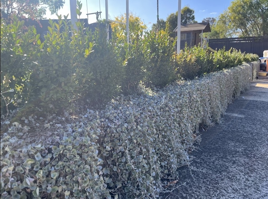 Screenshot_21-5-2025_11057_photos.google.com