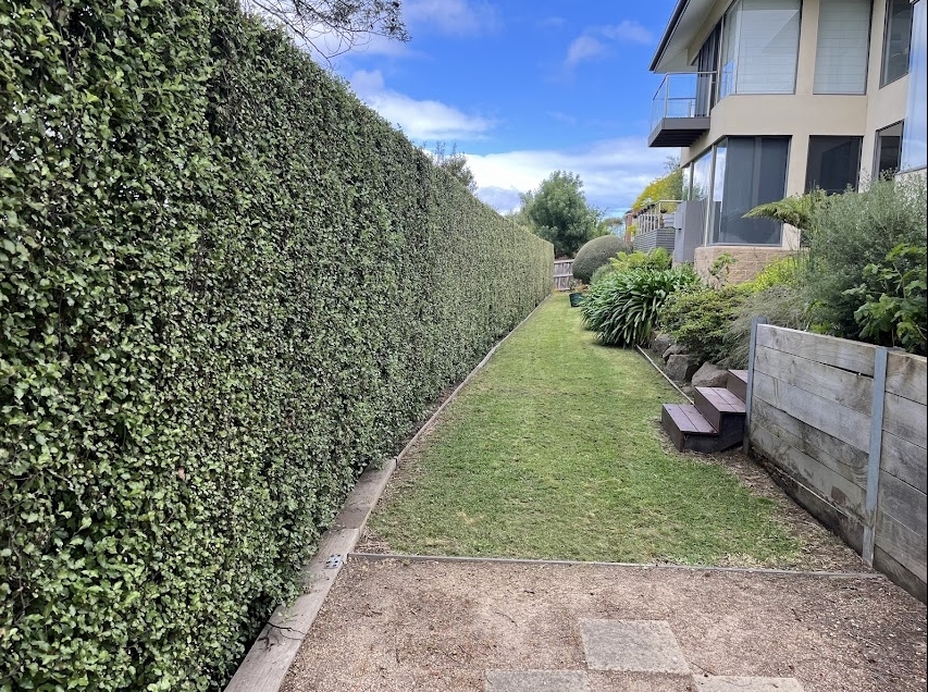 Screenshot_21-5-2025_11331_photos.google.com