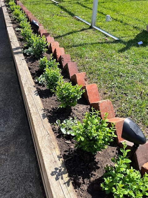 Screenshot_21-5-2025_11367_photos.google.com